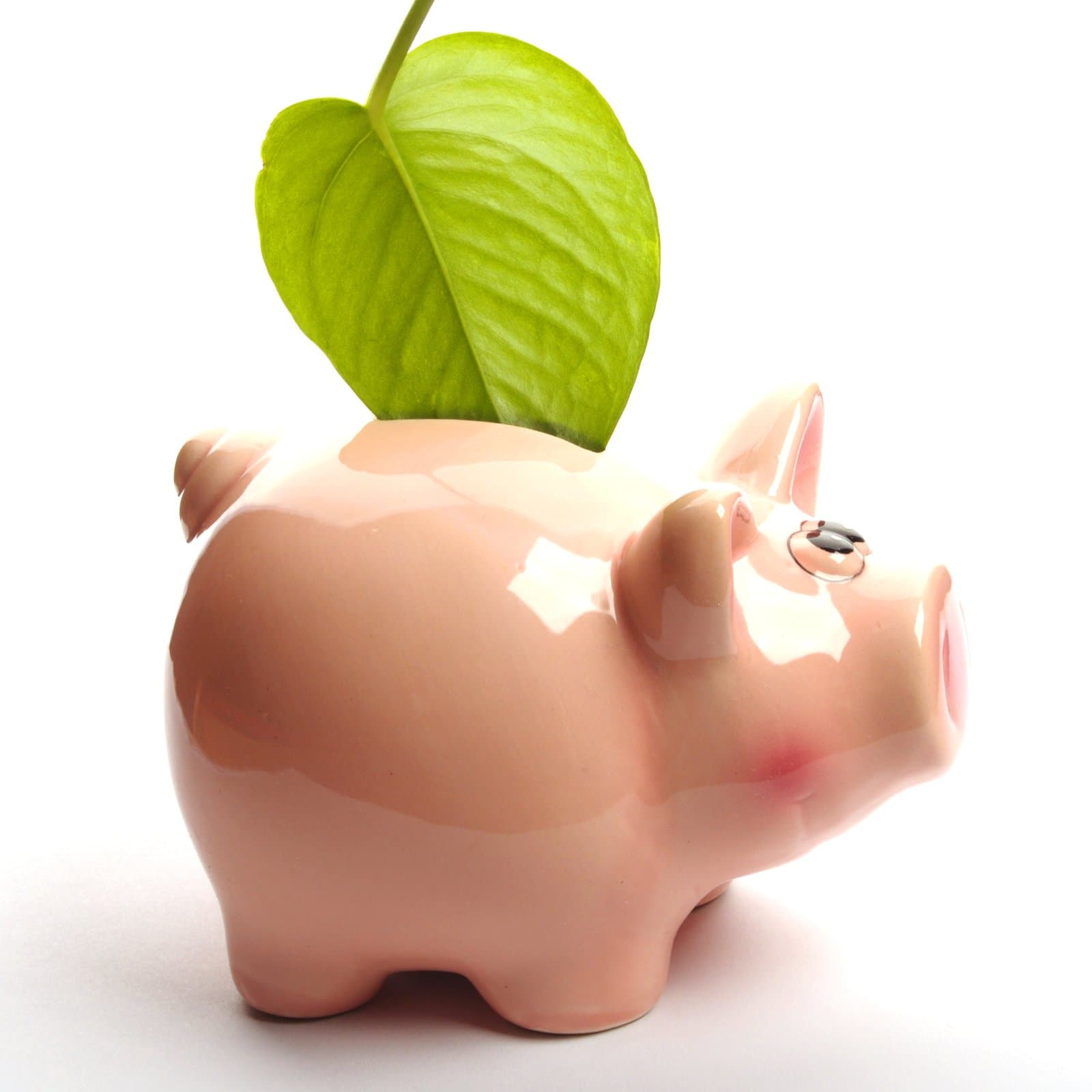 De Opkomst van ESG-investeringen: Hoe Financiële Professionals zich Kunnen Voorbereiden